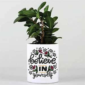 Flower Pots