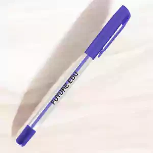 RENWPP113