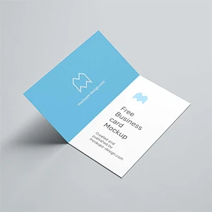 Lamination Folded Visiting Cards