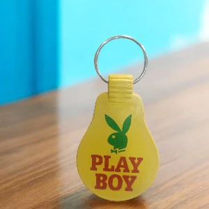 ABS Plastic Keychain(ABPKP105)